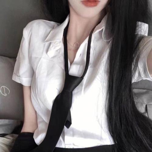 帕洛玛之旅